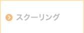 スクーリング