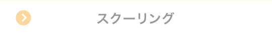 スクーリング