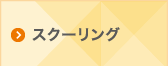 スクーリング