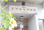 那覇市立壺屋焼物博物館